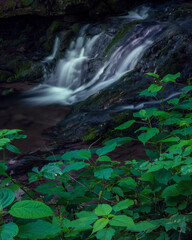 JayOBrien/JaynesGallery/DantaDelimont.com