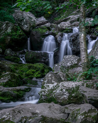 JayOBrien/JaynesGallery/DantaDelimont.com