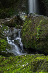 JayOBrien/JaynesGallery/DantaDelimont.com