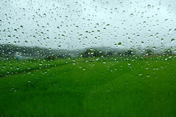 ガラス越しの雨と田んぼ