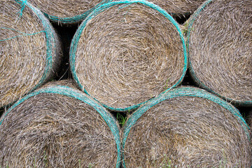 Bales of hay. High stack of round dry hay sheaves on a farm field. Fram cultivation of wheat / rye