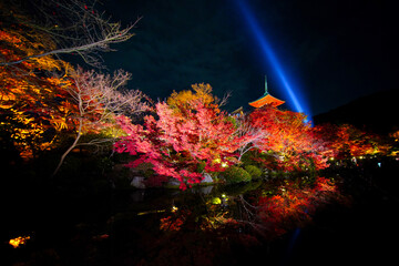 清水寺紅葉
