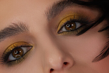 Obraz premium Beautiful macro shot of female eye with classic smoky makeup. Perfect shape of eyebrows, brown eyeshadows and long eyelashes.Closeup macro shot of fashion smoky eyes visage. Before and after