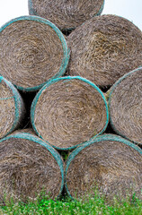 Bales of hay. High stack of round dry hay sheaves on a farm field. Fram cultivation of wheat / rye
