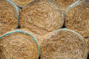Bales of hay. High stack of round dry hay sheaves on a farm field. Fram cultivation of wheat / rye
