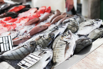 Fresh fish on a Farmer's Market