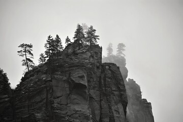 Zion National Park - Trees in the Fog - Black and White