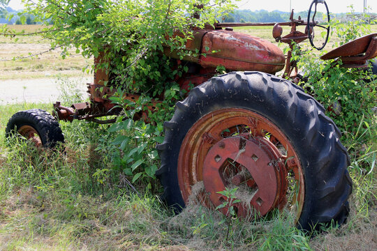 a rusted abandoned old vintage red farm tractor with overgrown wild grass and weeds