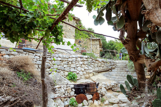 Latakia countryside in Syria 
