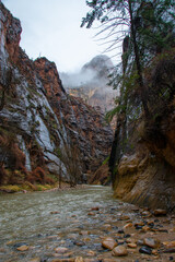 River at Temple of Sinawava - Zion National Park