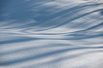 Naklejka na ściany i meble Smooth surface of untouched snow with shadows in bright sunshine