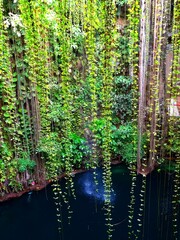 Fototapeta premium Mexico, Yucatan, Ik-Kil Cenote