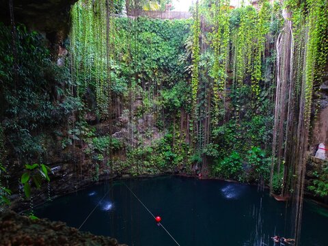 Mexico, Yucatan, Ik-Kil Cenote