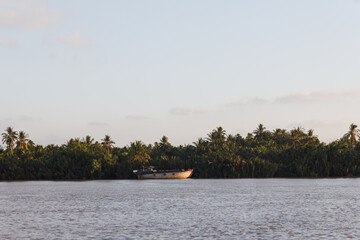 Scene from Mekong delta around Ben Tre town in Vietnam