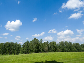 Green field and forest. Clouds in the blue sky. Summer sunny day