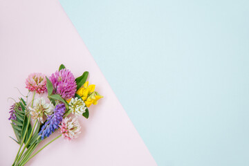 Flat lay of miniature wildflowers on pink and blue paper paper background, copyspace for summer and wedding design. Boutonniere from clover and mouse pease