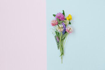 Flat lay of miniature wildflowers on pink and blue paper paper background, copyspace for summer and wedding design. Boutonniere from clover and mouse pease