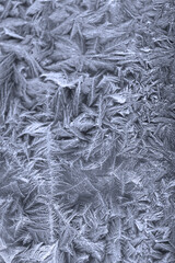 ice flowers on glass