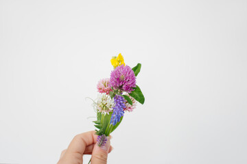 clover, bouquet, hand, Boutonniere, copy space, wildflowers, holding, design, pastel, floral, mouse peas, miniature, small, cute, beautiful, wedding, text, background, pink, summer, purple, plant, flo