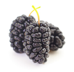 Mulberries fruit isolated.