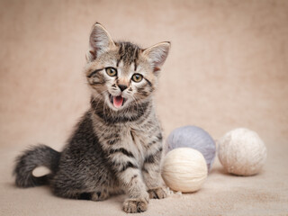 Obraz premium Yawning tabby kitten with balls of woolen yarn
