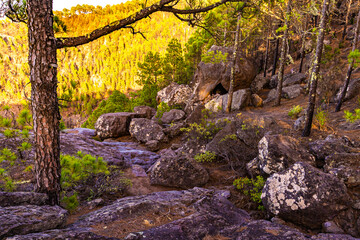 Rock refuge in Tamadaba Natural Park on the island of Gran Canaria, Canary Islands. with pines and vegetation made by nature and man on the living rock.