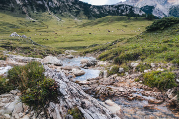 Blick auf die Plätzwiese in Südtirol