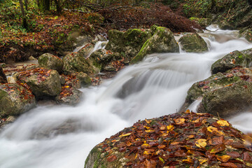 L'Alloix - Massif de la Chartreuse.