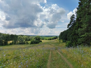 cloudy sky over forest and field on a sunny day