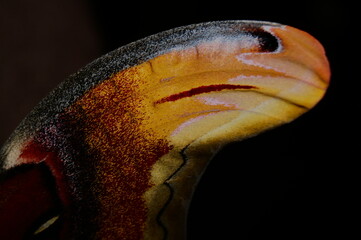 A Atlas © Krzysztof