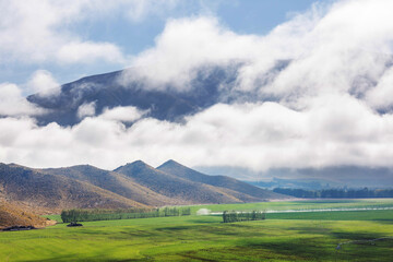 Obraz premium New Zealand hills