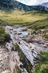 Blick auf die Plätzwiese in Südtirol