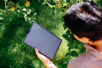 Agronomist inspecting apple tree and using tablet computer. Innovative agriculture technology concept