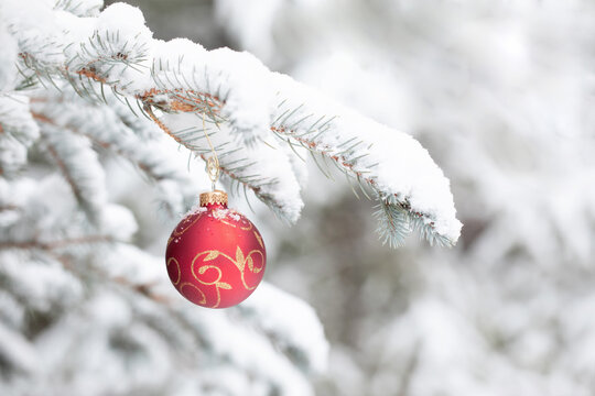 Original photograph of a red Christmas tree ornament hanging on a snow covered Christmas tree limb 