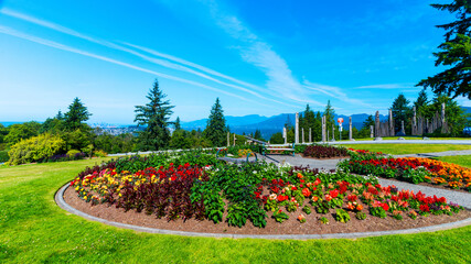 flowers in a bc park with spectacular views across valley to ocean and mountains in distance
