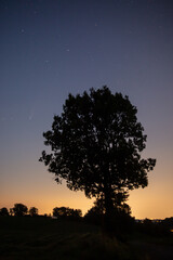 the comet Neowise starry sky astronomy