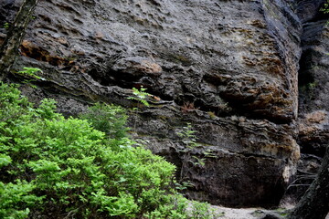 Rock Wall of the National Park Czech Switzerland, City of Hřensko