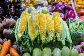 Corn on the cob. Farmers market with fruits and vegetables, open shelves showcases. Healthy organic food. Autumn harvest