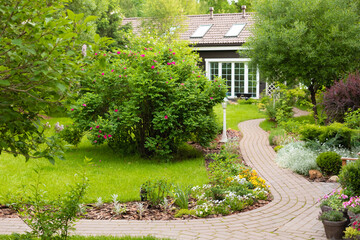 Cottage garden lawn with multicolored flowering bushes