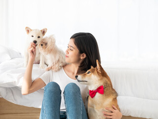 Asian young girl looking and feeding food to adorable Japanese white Shiba Inu and Maltese puppy pet while catching and holding handsome brown dog in one hand for stay together in bedroom at cozy home