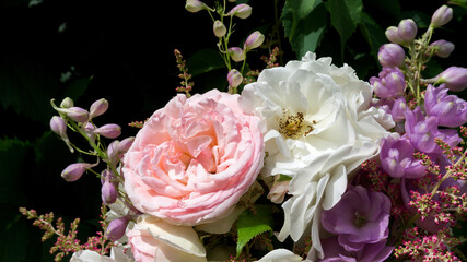 Delicate bouquet of fresh roses against black background. Roses, delphinium, astilbe for a wedding bouquet close-up with space for text. Elegant template design for wedding and calendar printing.
