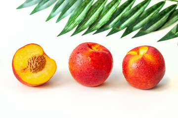 Peach or nectarine and peach slice with leaf on white background