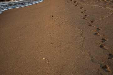 footprints on the sand