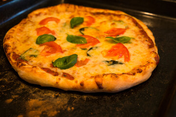 
Pizza with vegetables and cheese