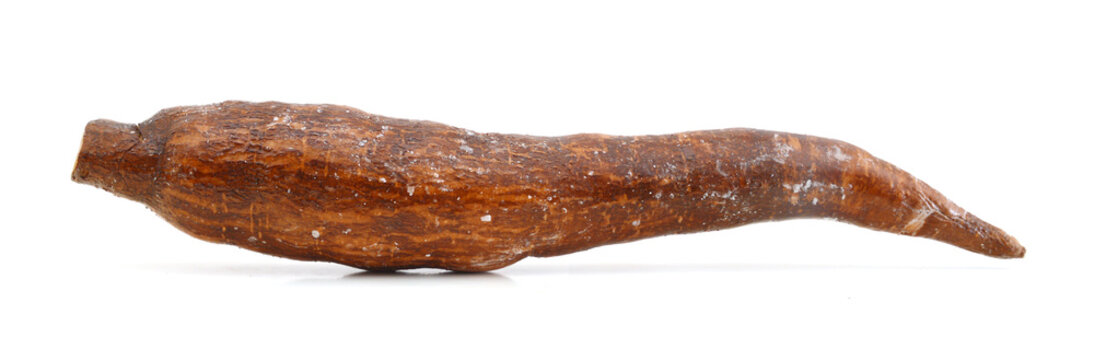 Casava root isolated on white from low perpective.