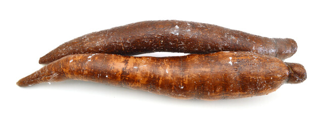 two yucca roots isolated on white background