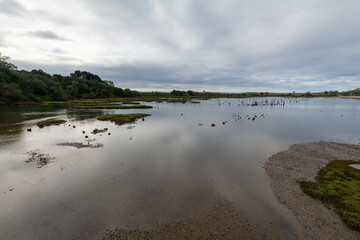 Landscape of ria with the tide going down, vegetation, a cloudy afternoon, in the natural park of Oyambre, in Cantabria, Spain, horizontal