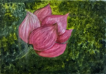 Pink Lotus Flower Painting Picture