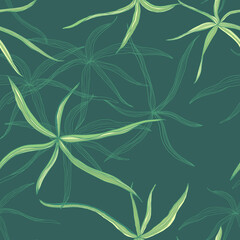 Seamless pattern with graphic  green grass.