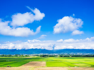 夏の信州　安曇野の田園風景